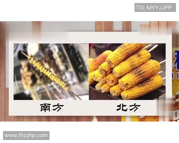 北方与南方的文化差异与生活习惯探讨之旅